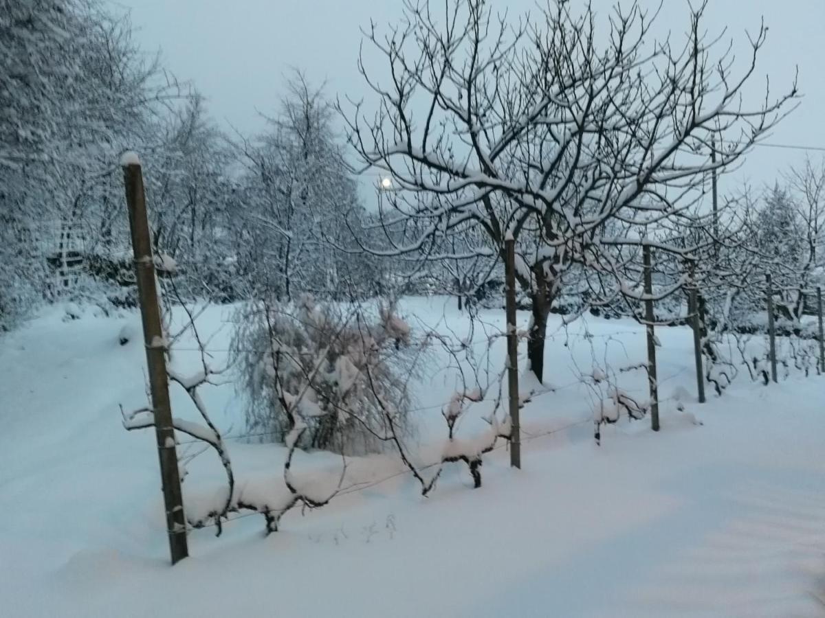 Willa Maso Daue Marter Zewnętrze zdjęcie